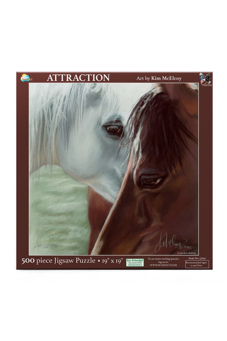 Attraction 500 piece Jigsaw Puzzle for Adults, Alternate, color, Multicolor