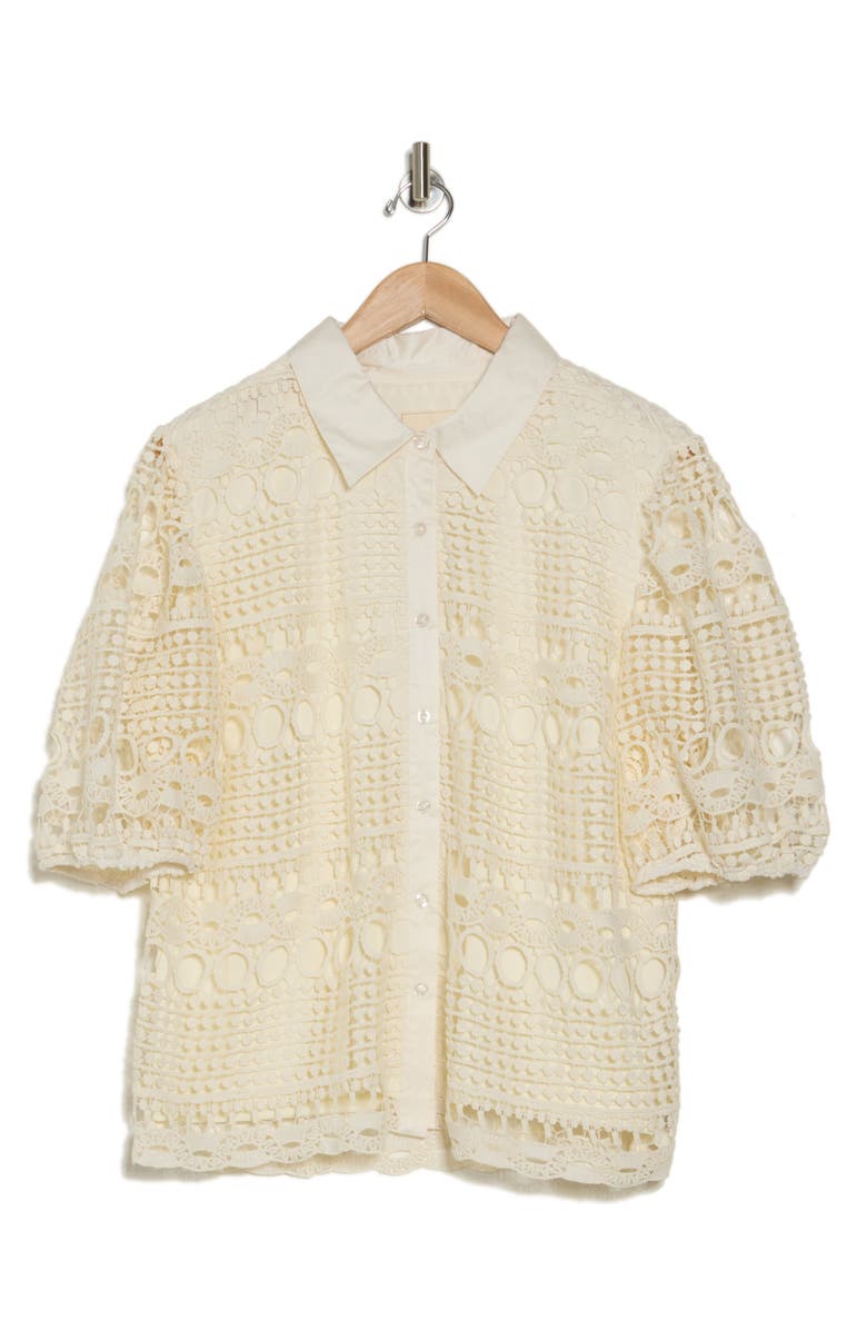 BY DESIGN Brianna Short Sleeve Lace Top, Alternate, color, Gardenia
