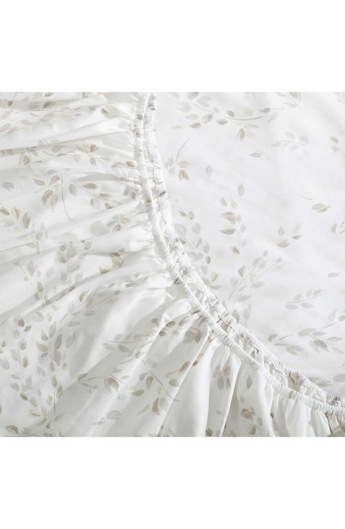 Calvin Klein Airy Botanical 300 Thread Count Sateen Sheet Set In Beige