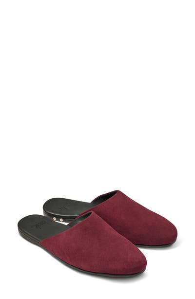 style board product image