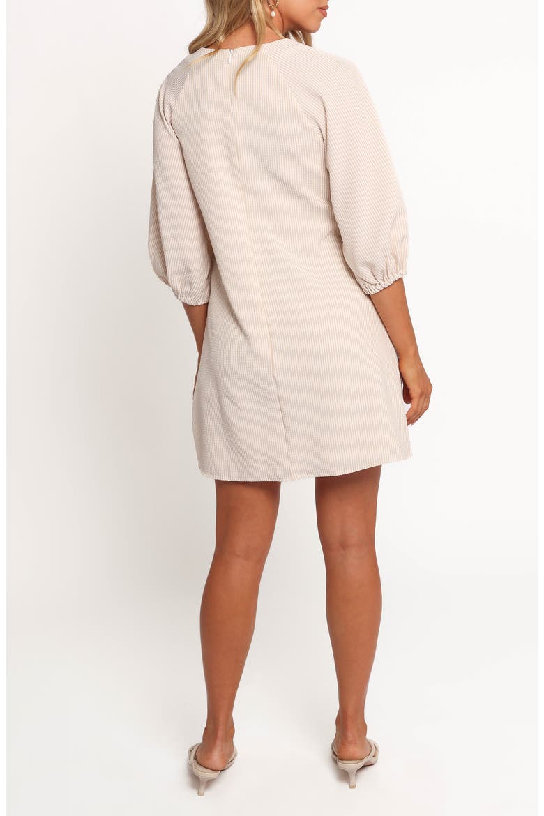 Sidney Front Tie Shift Dress, Alternate, color, TAN STRIPE