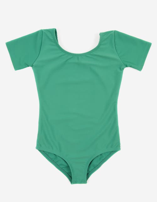Leveret Girls Short Sleeve Leotard In Green