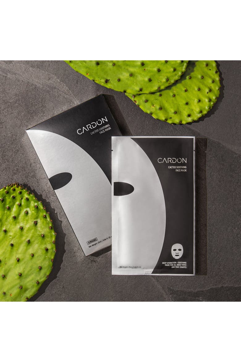 Cactus Soothing Sheet Mask, Alternate, color, None (none)