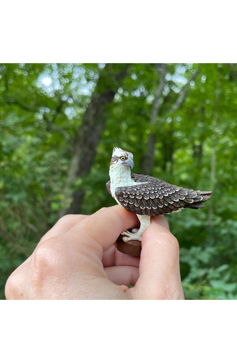 Safari Ltd. Osprey Kids Toy Figure, Alternate, color, NO COLOR