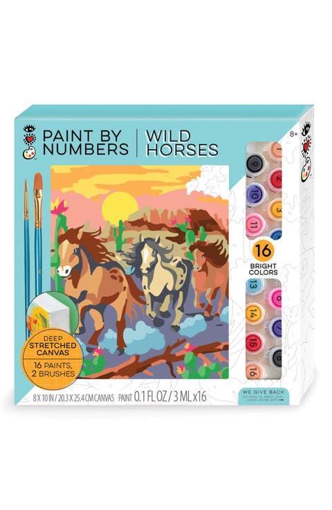 Wild Horses Paint by Numbers Art Kit