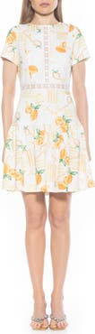 Alexia Admor Alexa Lace Trim Fit & Flare Dress