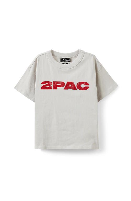 Cotton On Kids Kid's Licensed Drop Shoulder Short Sleeve Tee In Winter Grey 2pac