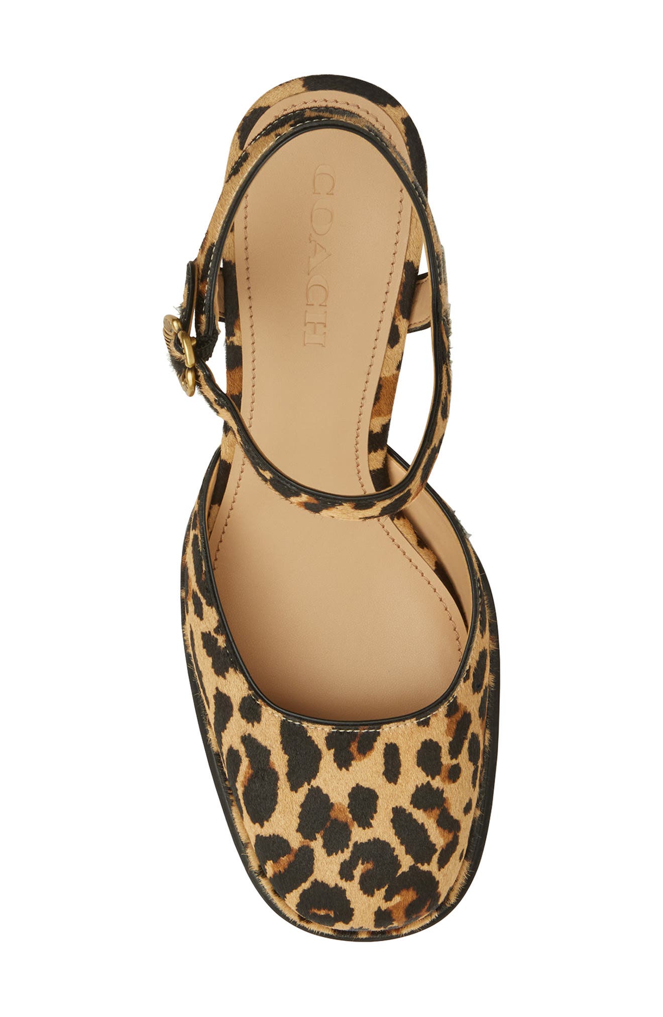 COACH Tea Rose Ankle Strap Genuine Calf Hair Platform Pump, Alternate, color, Natural Leopard