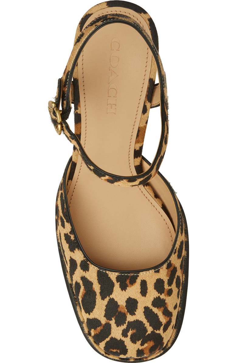 COACH Tea Rose Ankle Strap Genuine Calf Hair Platform Pump, Alternate, color, Natural Leopard