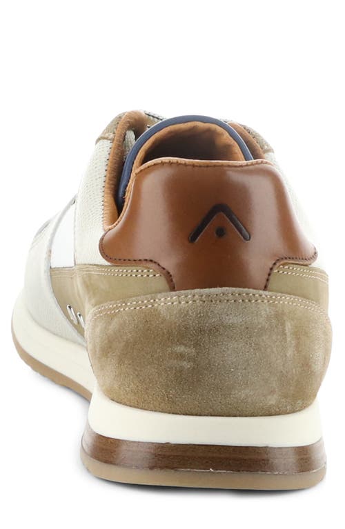 Ambitious 11240 Perforated Sneaker In Grey/off White/camel Leather