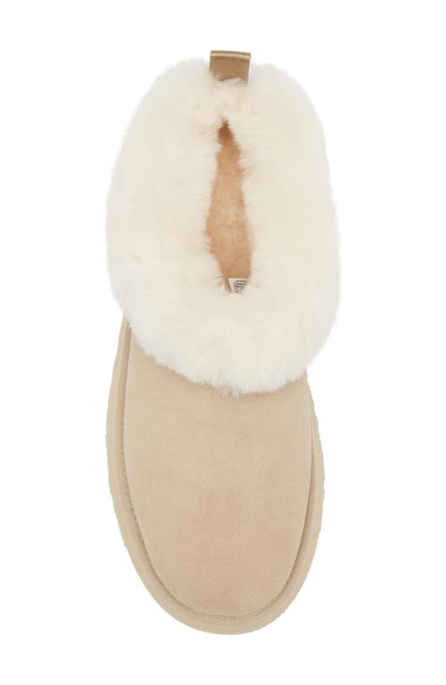Ugg(r) Tazzelle Genuine Shearling Collar Slipper In Yellow
