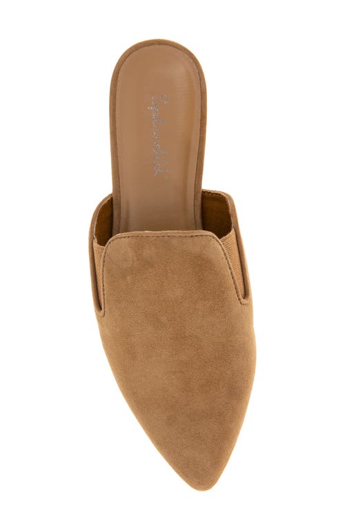 Splendid Liza Pointed Toe Mule In Brown