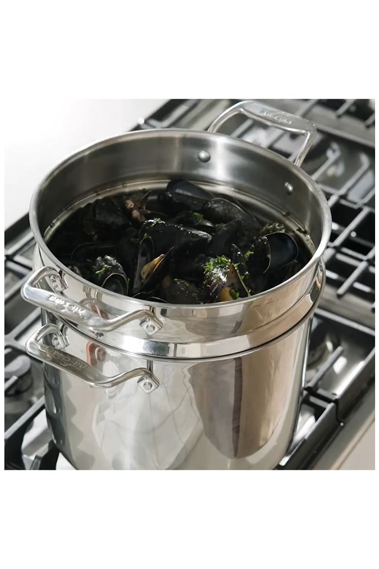 Simply Strain 12-Quart Stainless Steel Multipot with Insert, Alternate, color, SILVER