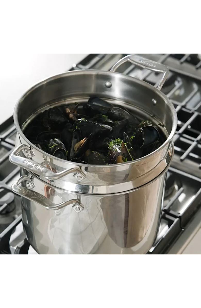 All-Clad Simply Strain 12-Quart Stainless Steel Multipot with Insert, Alternate, color, 