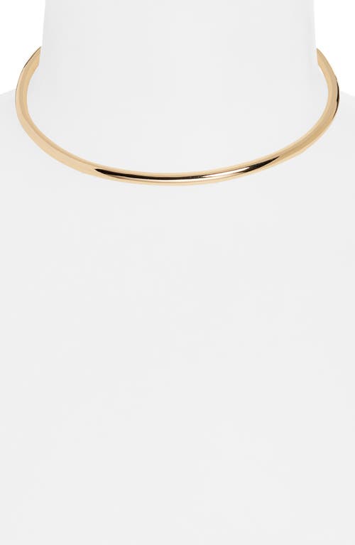 Roxanne Assoulin The Tubular Collar Necklace In Gold