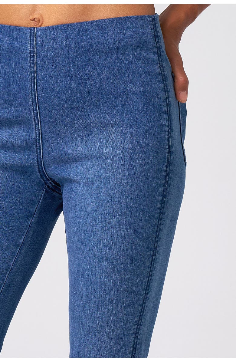 Franne Golde Slim Stretch Pull-On Ankle Jean, Alternate, color, Classic Wash