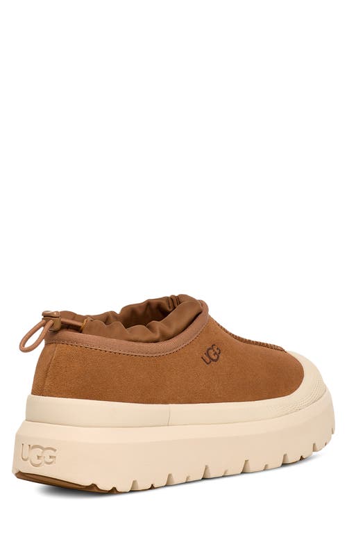 Ugg(r) Tasman Waterproof Hybrid Slip-on Shoe In Multi