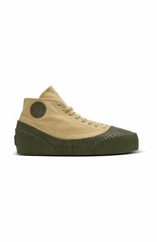 Balmain Riff Low Canvas Sneakers In Sand