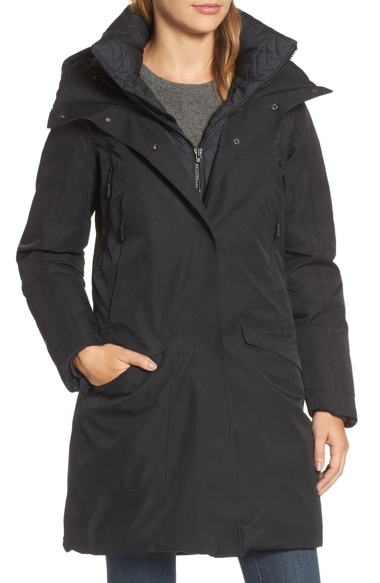 The North Face Cryos Expedition 800 Fill Power Down Gore-Tex<sup>®</sup> Parka, Alternate, color,