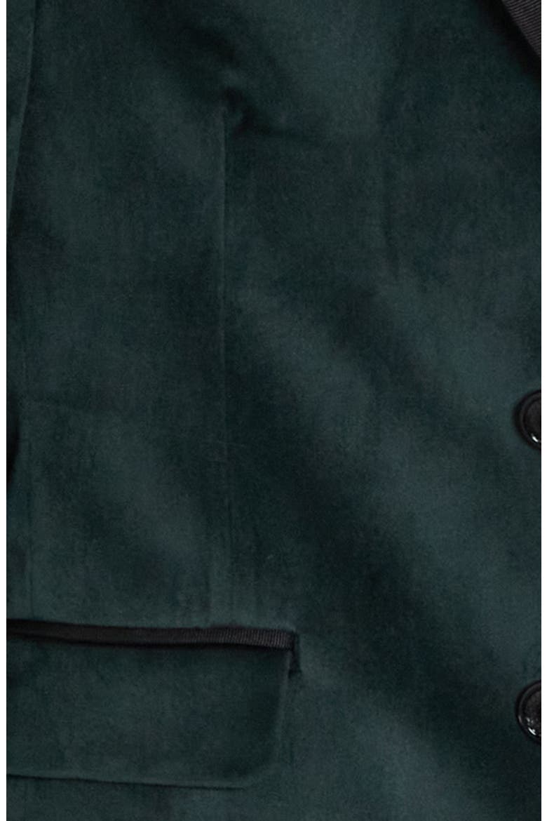 Velvet Dinner Jacket, Alternate, color, GREEN