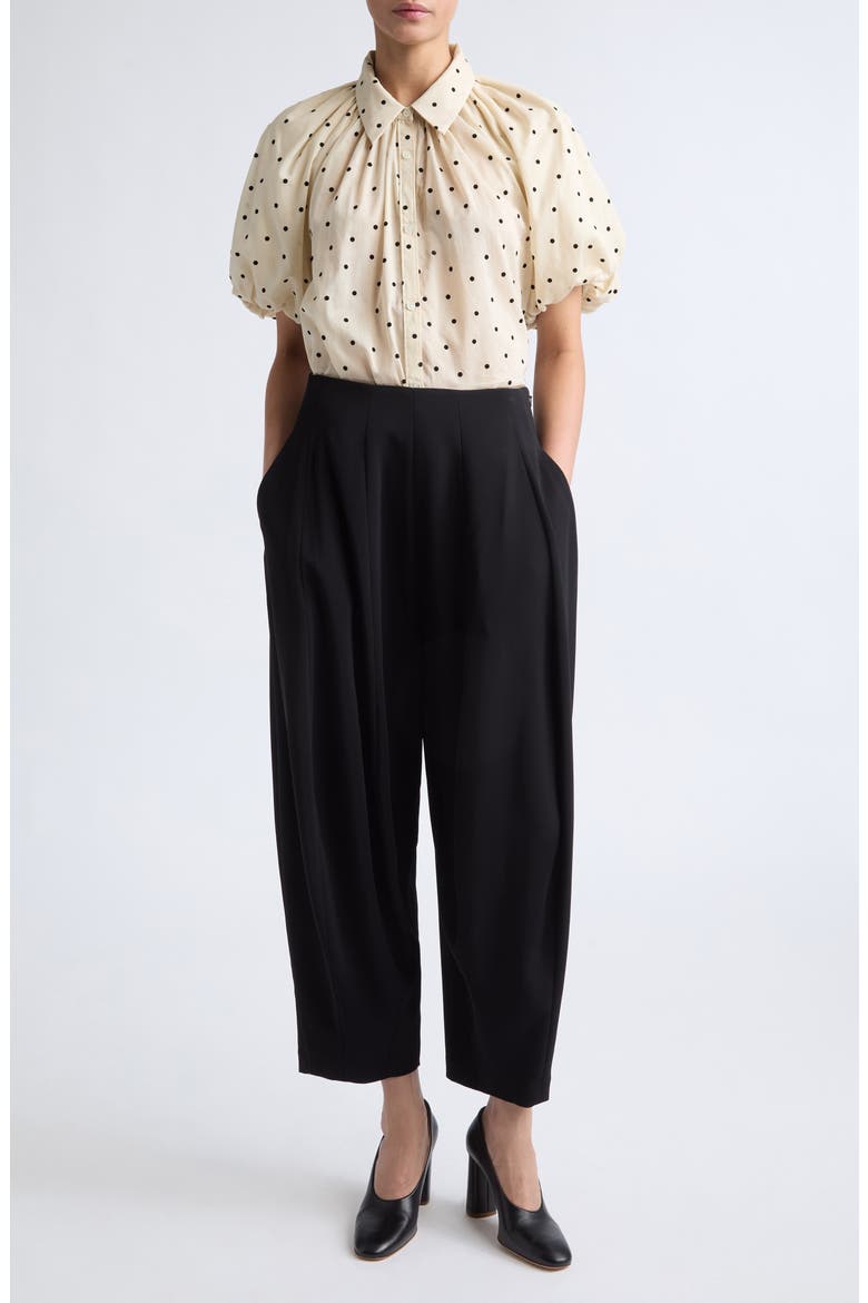 Pallin Pleated Pants, Alternate, color, BLACK