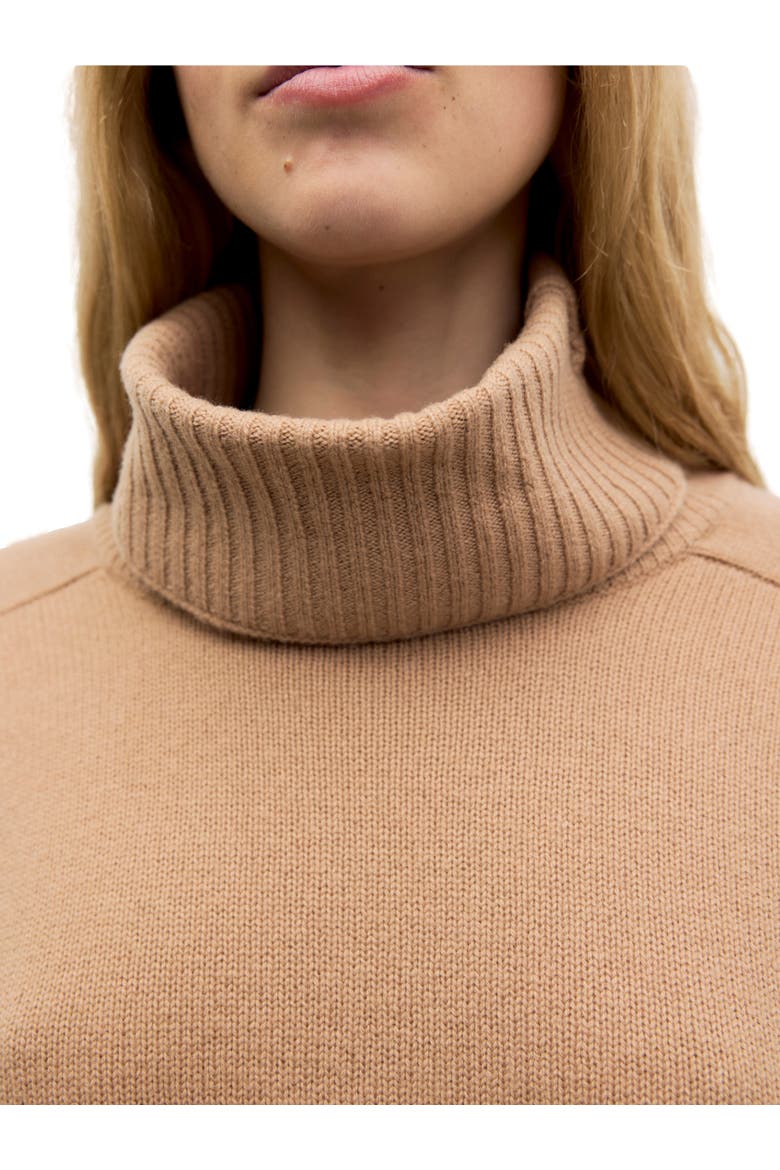 Ramia Roll Neck Long Sleeve Sweater, Alternate, color, Camel
