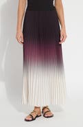 Lysse Fortunata Pleated Chiffon Skirt
