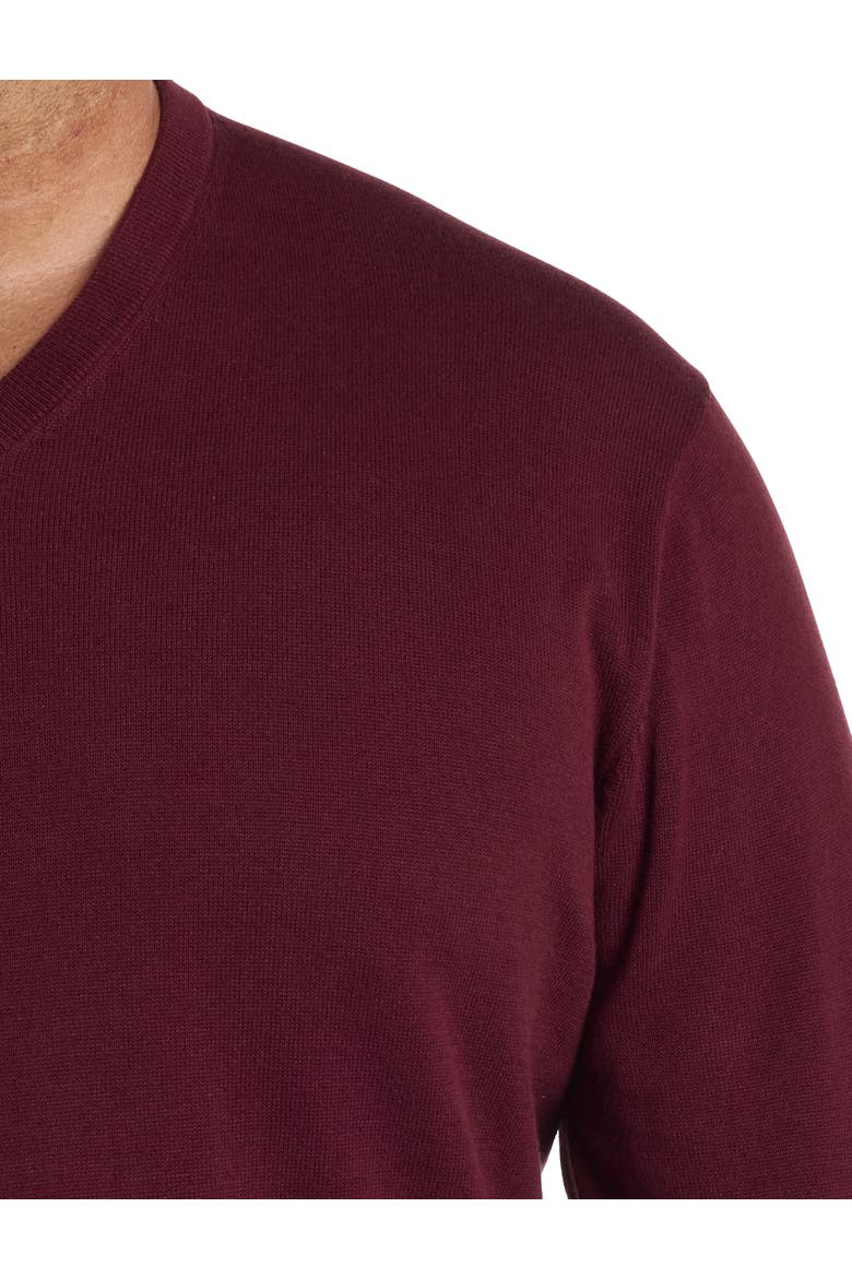 Big & Tall V-Neck Pullover, Alternate, color, ZINFANDEL
