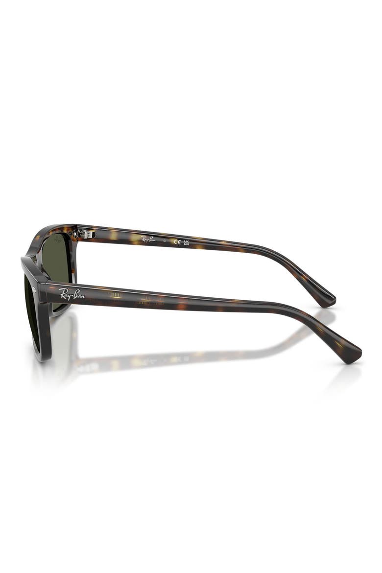 54mm Square Sunglasses, Alternate, color, HAVANA / GREEN