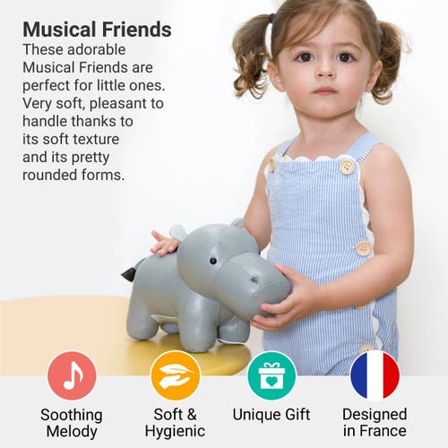 Little Big Friends Musical Animals In Gray