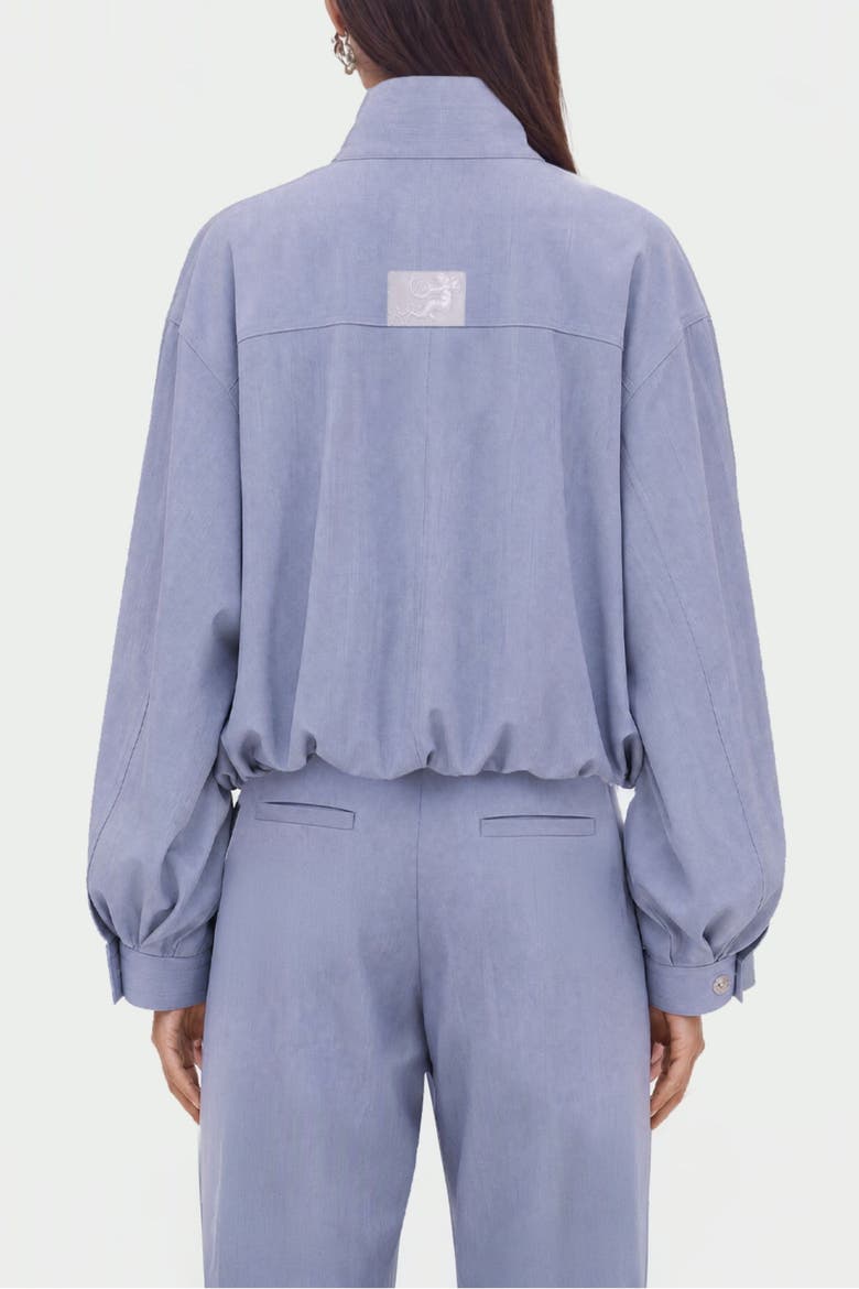 Stand Collar Zip Jacket, Alternate, color, Blue