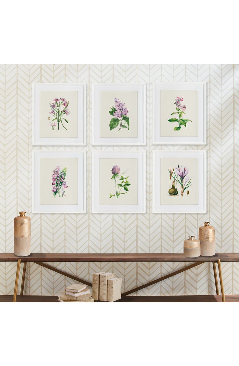 Napa Home & Garden Flower Study Prints Set of 6, Alternate, color, Purple