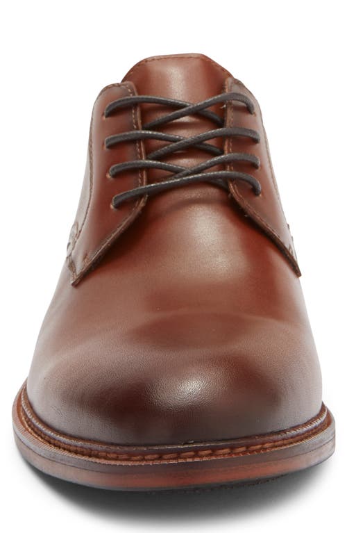 Steve Madden Espen Plain Toe Derby In Cognac
