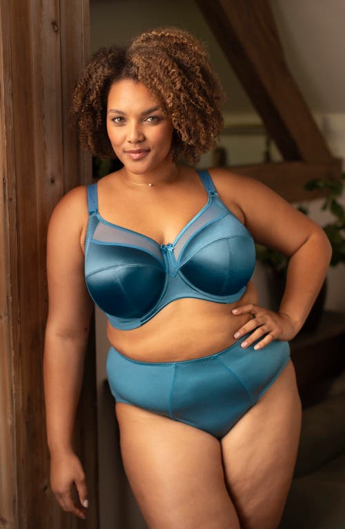 Goddess Keira Full Coverage Briefs In Blue