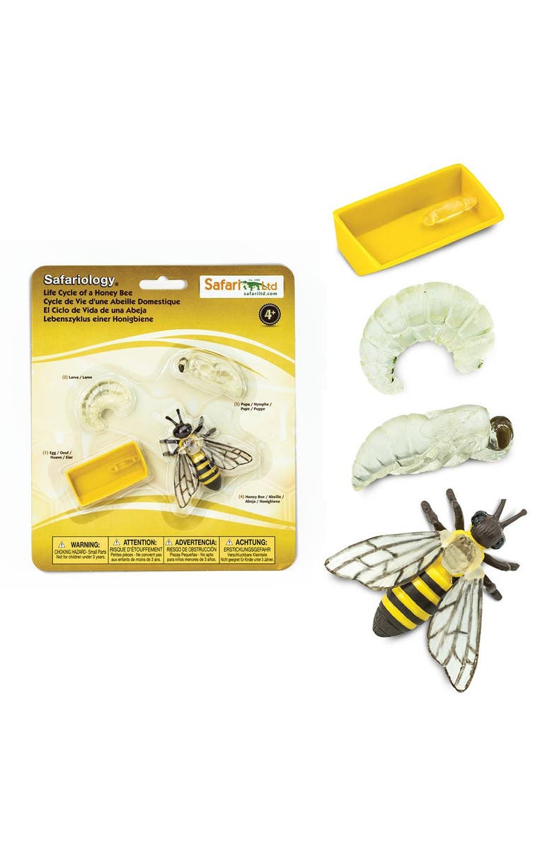 Safari Ltd. Life Cycle Of A Honey Bee, Alternate, color, NO COLOR
