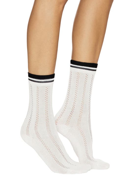 Stems Lattice Stitch Cotton Blend Crew Socks in Ivory/Black 