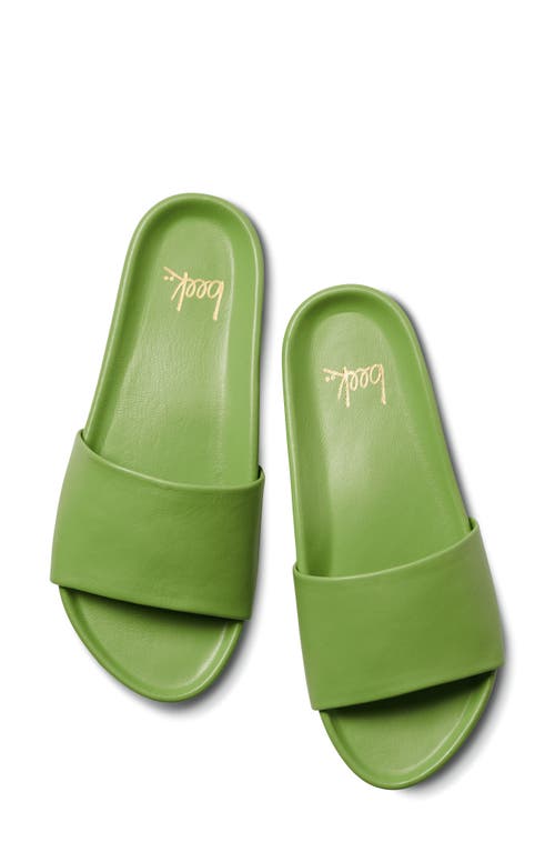 Beek Gallito Slide Sandal In Green