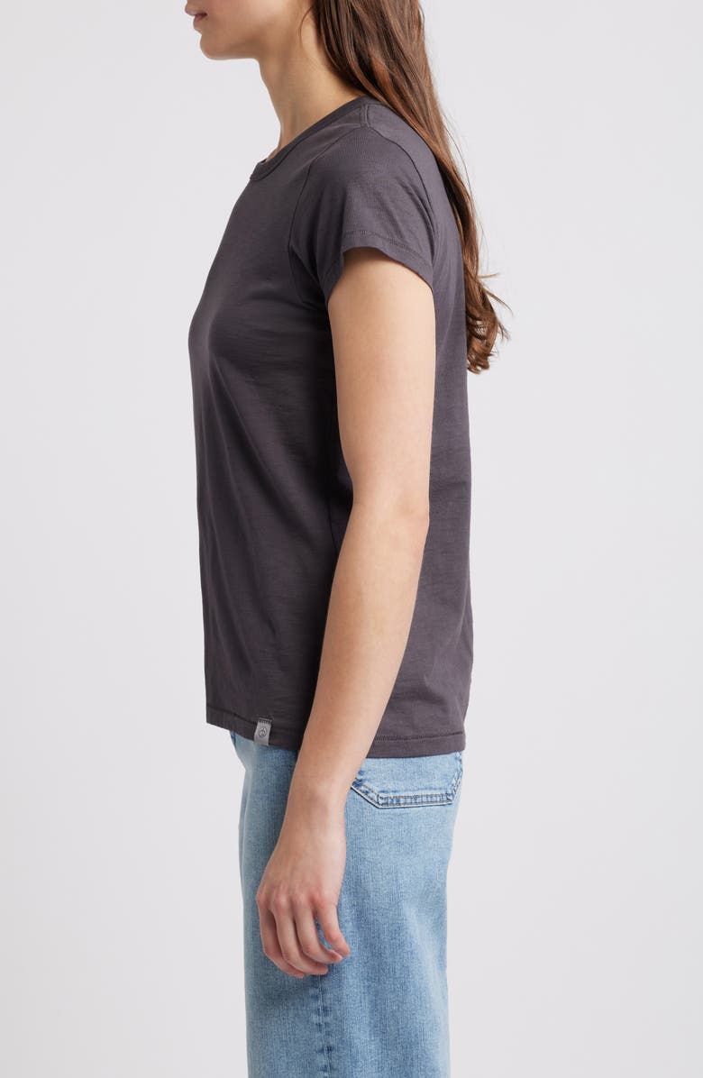 rag & bone The Slub Organic Pima Cotton T-Shirt, Alternate, color, Greystone