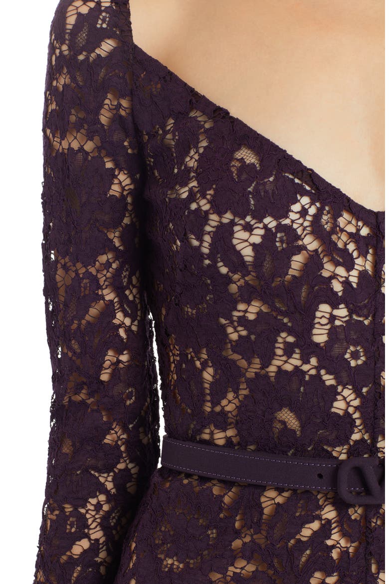 Long Sleeve V-Neck Lace Midi Dress, Alternate, color, RIPE PLUM Y82
