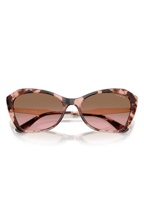 Vogue 56mm Cat Eye Sunglasses In Havana