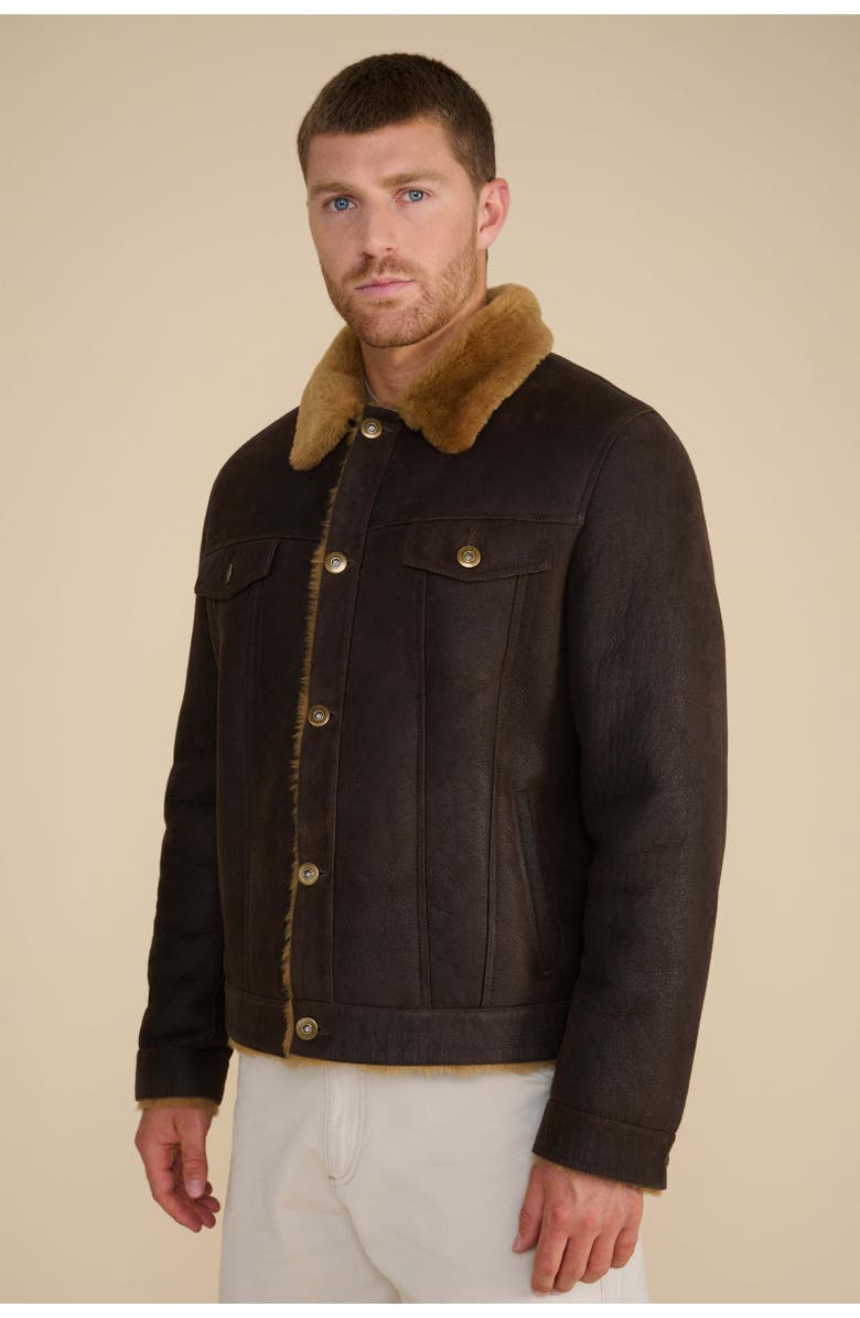 Furniq UK Alfie Suede Jacket, Alternate, color, Brown