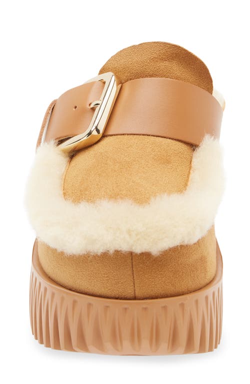 4ccccees Plia Amber Genuine Shearling Platform Clog In Brown