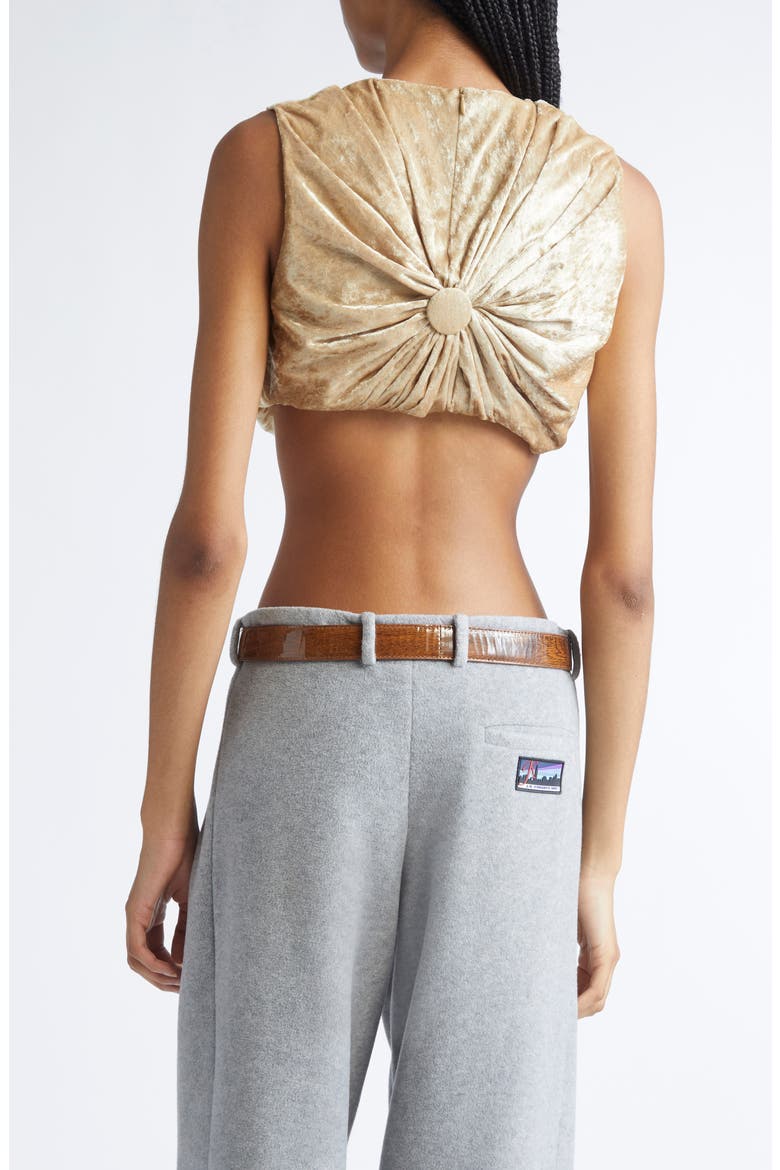 Tilda Velvet Cushion Crop Top, Alternate, color, GOLD
