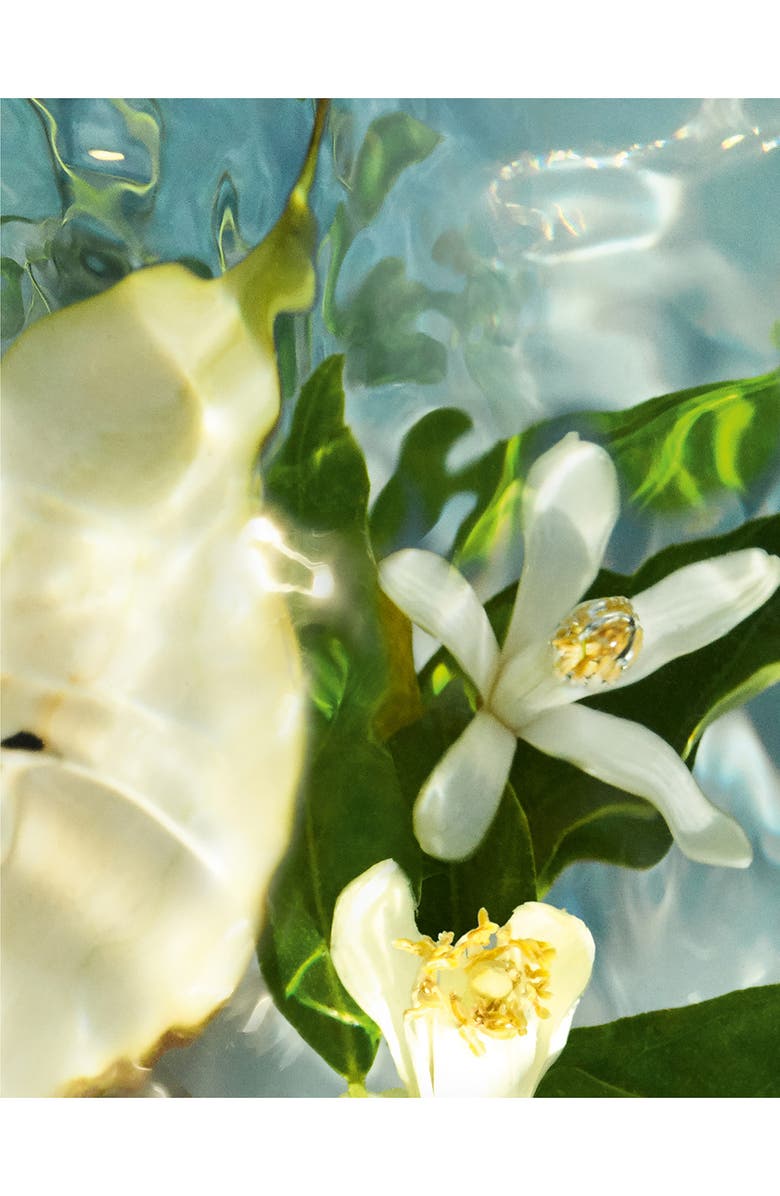 Guerlain Aqua Allegoria Pera Granita Eau de Toilette, Alternate, color, 