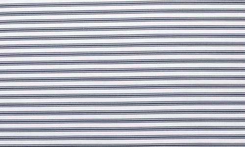 Petite Plume French Ticking Euro Sham In Blue