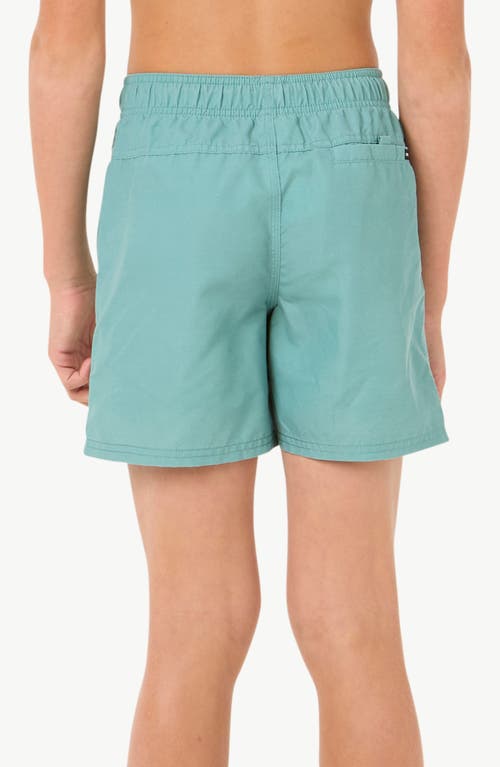 Rip Curl Kids' Board Walk Jackson Volley Swim Trunks In Blue Lagoon