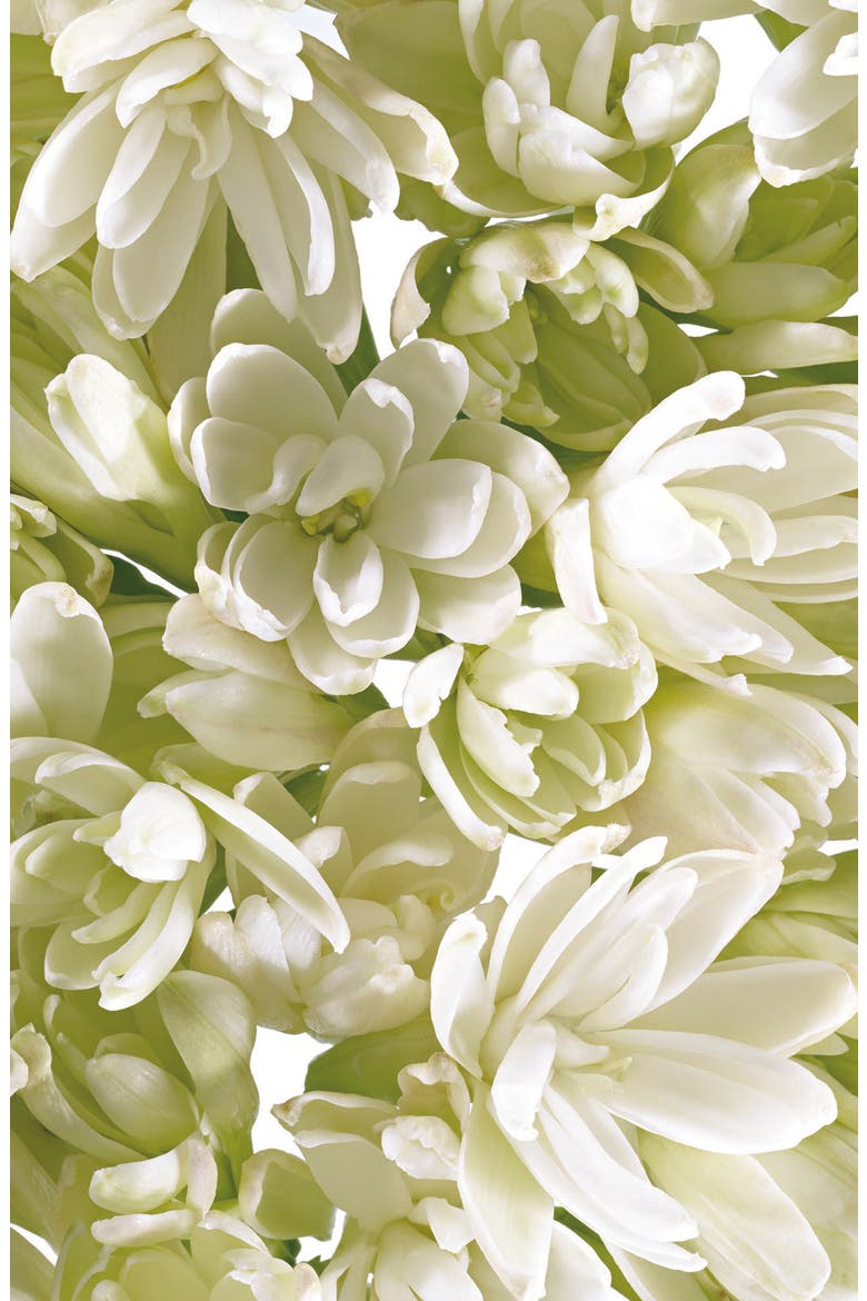 Absolu Eau de Parfum, Alternate, color, NO COLOR