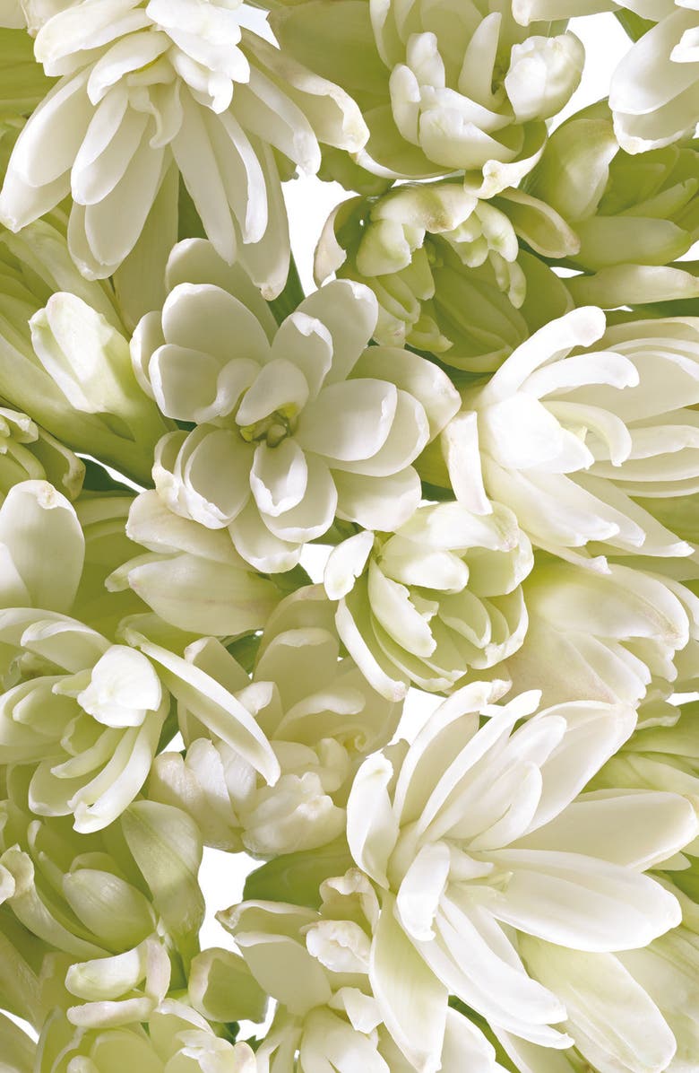 Tory Burch Absolu Eau de Parfum, Alternate, color, 