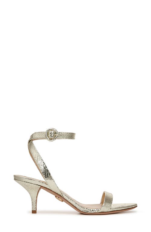 Veronica Beard Darcelle Ankle Strap Kitten Heel Sandal