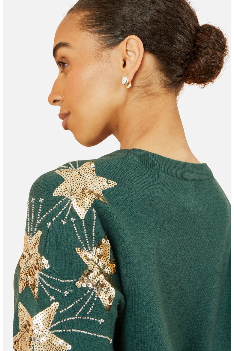 Sequin Star Sleeves Jumper, Alternate, color, Green